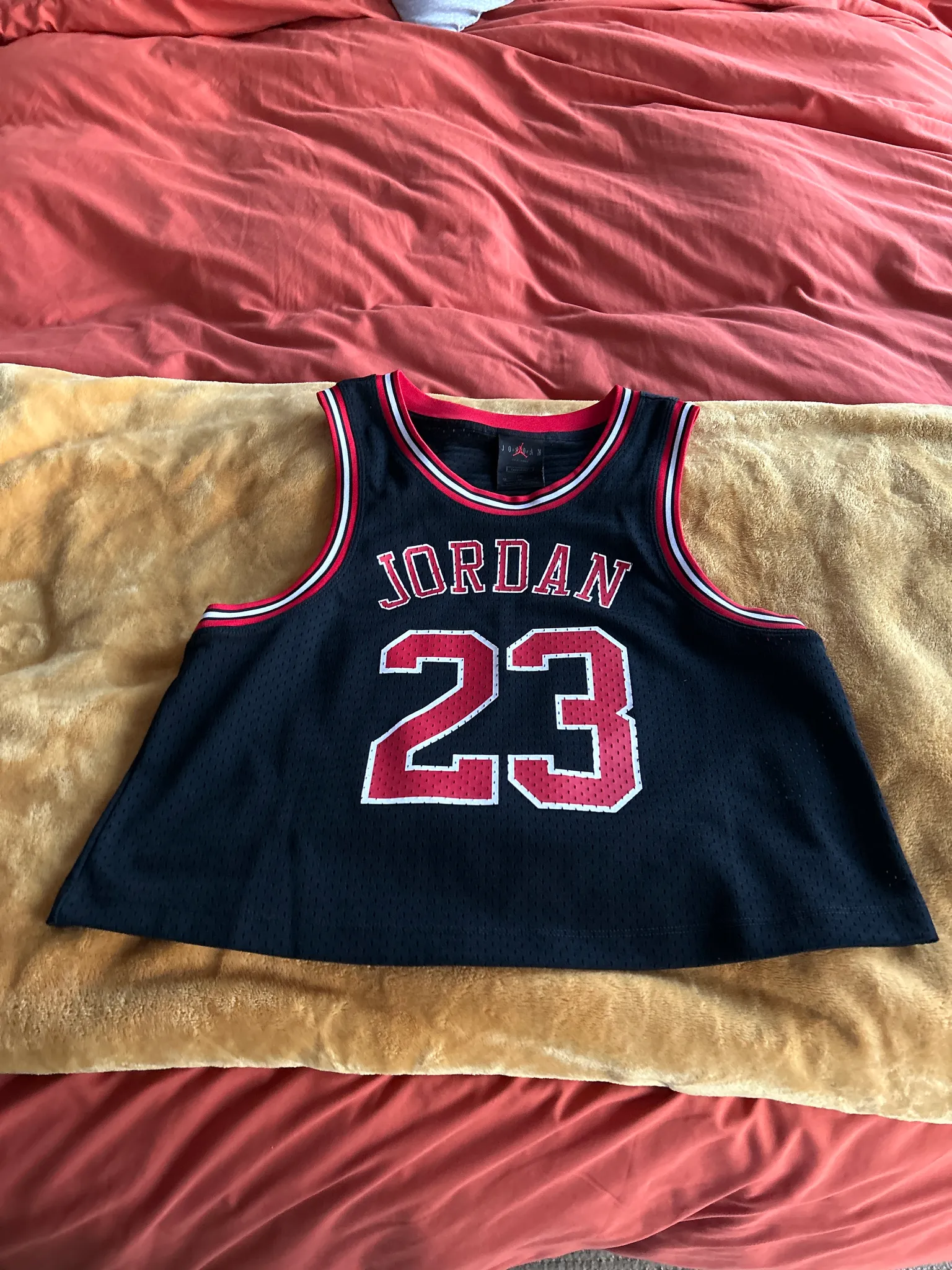 Jordan Women’s Crop Jersey (medium) photo 1