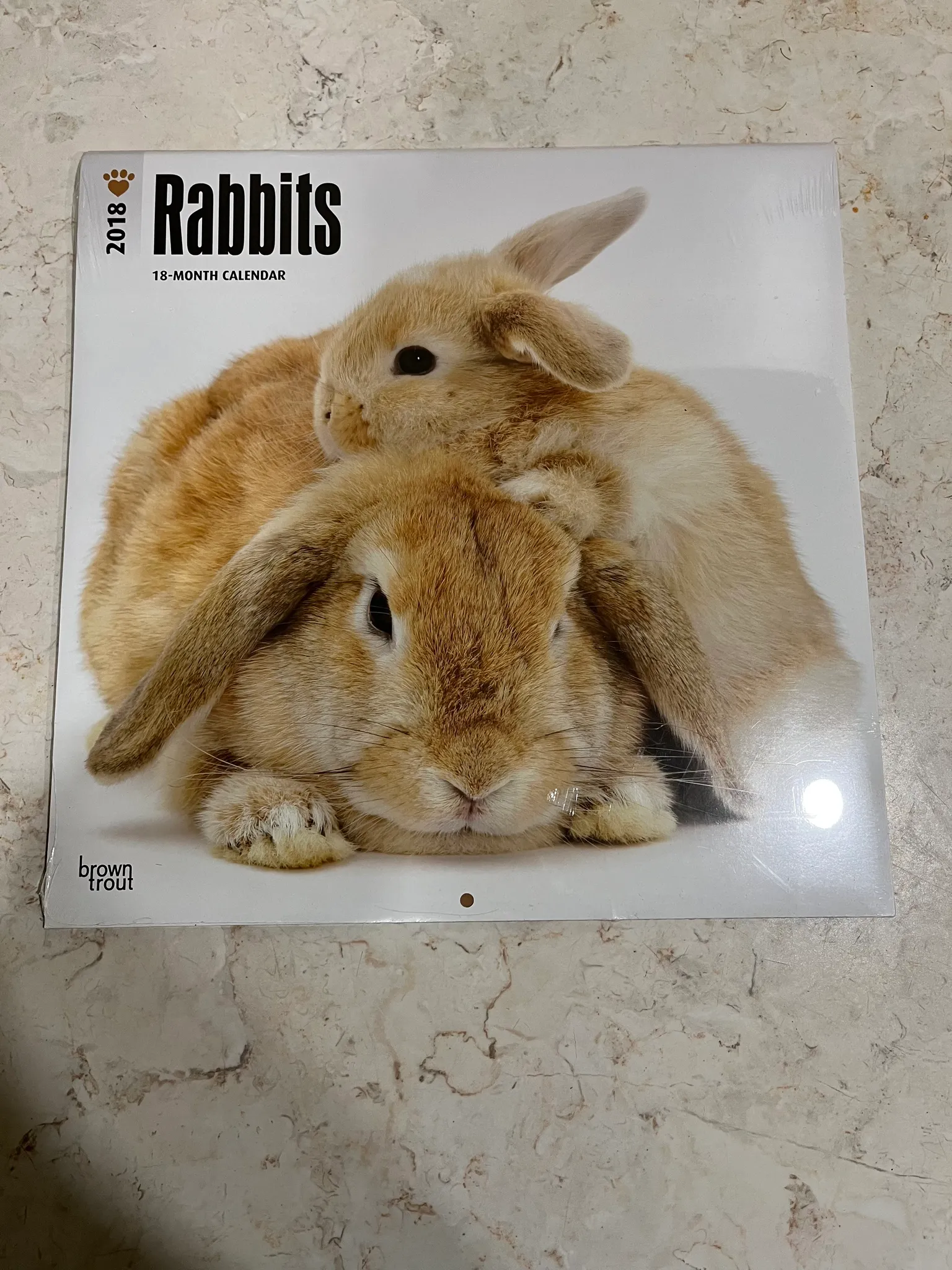 Bnib calendar bunnies photo 1