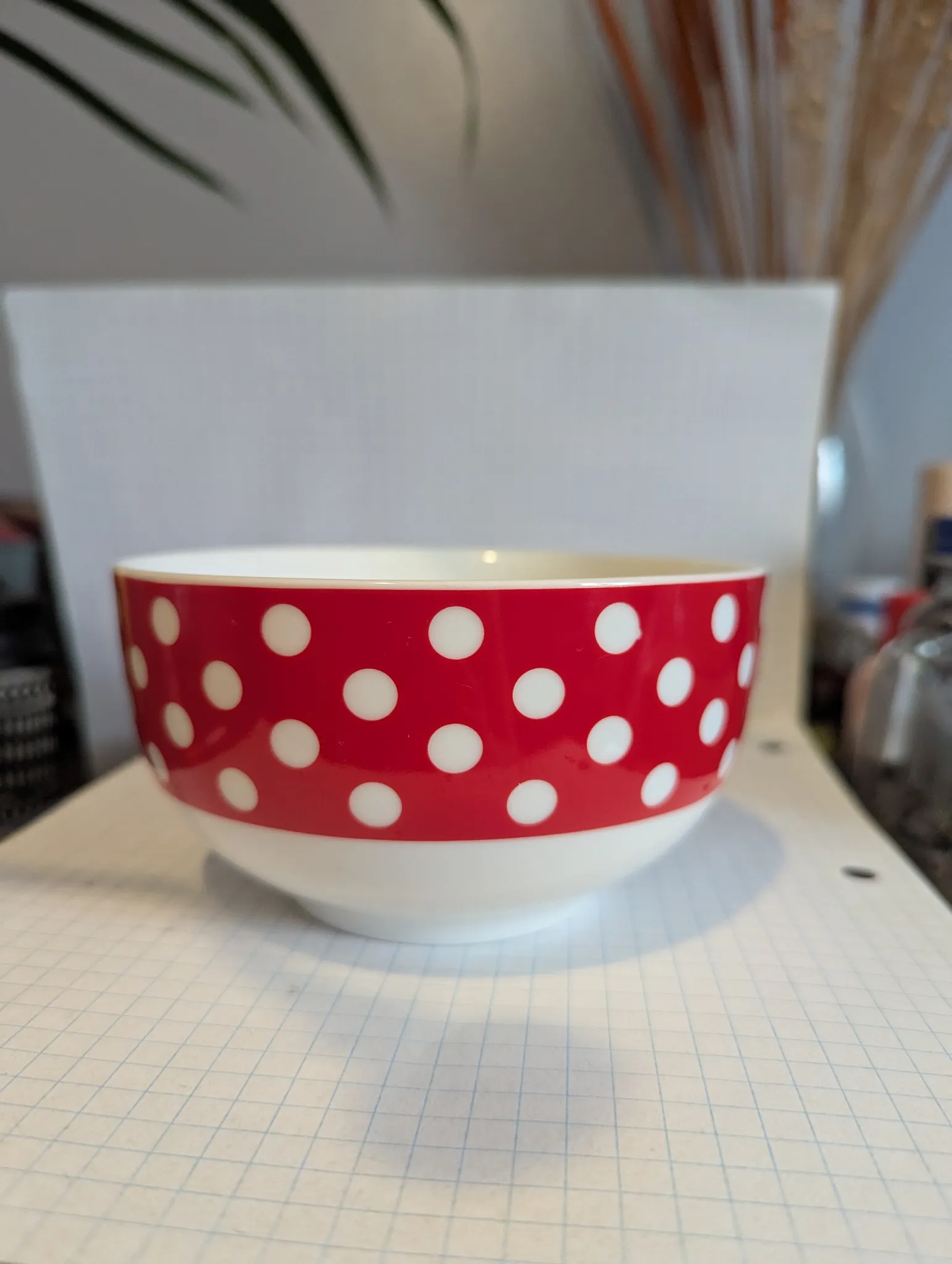 Red Polka Dot Bowl photo 1
