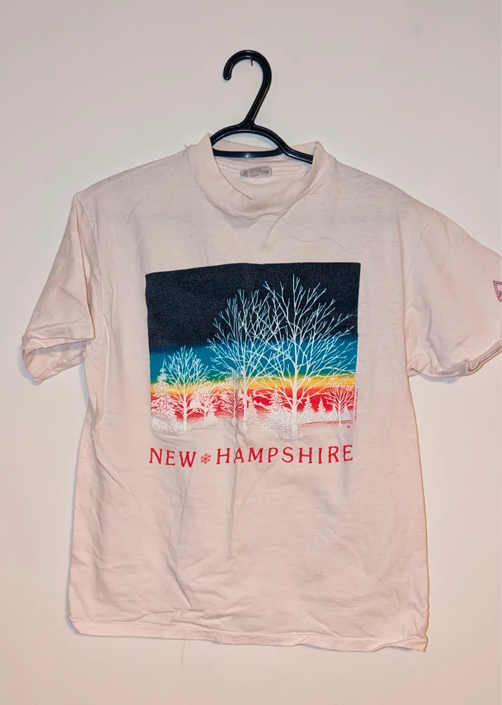 Hanes Beefy-T New Hampshire Tee - Size Large photo 1