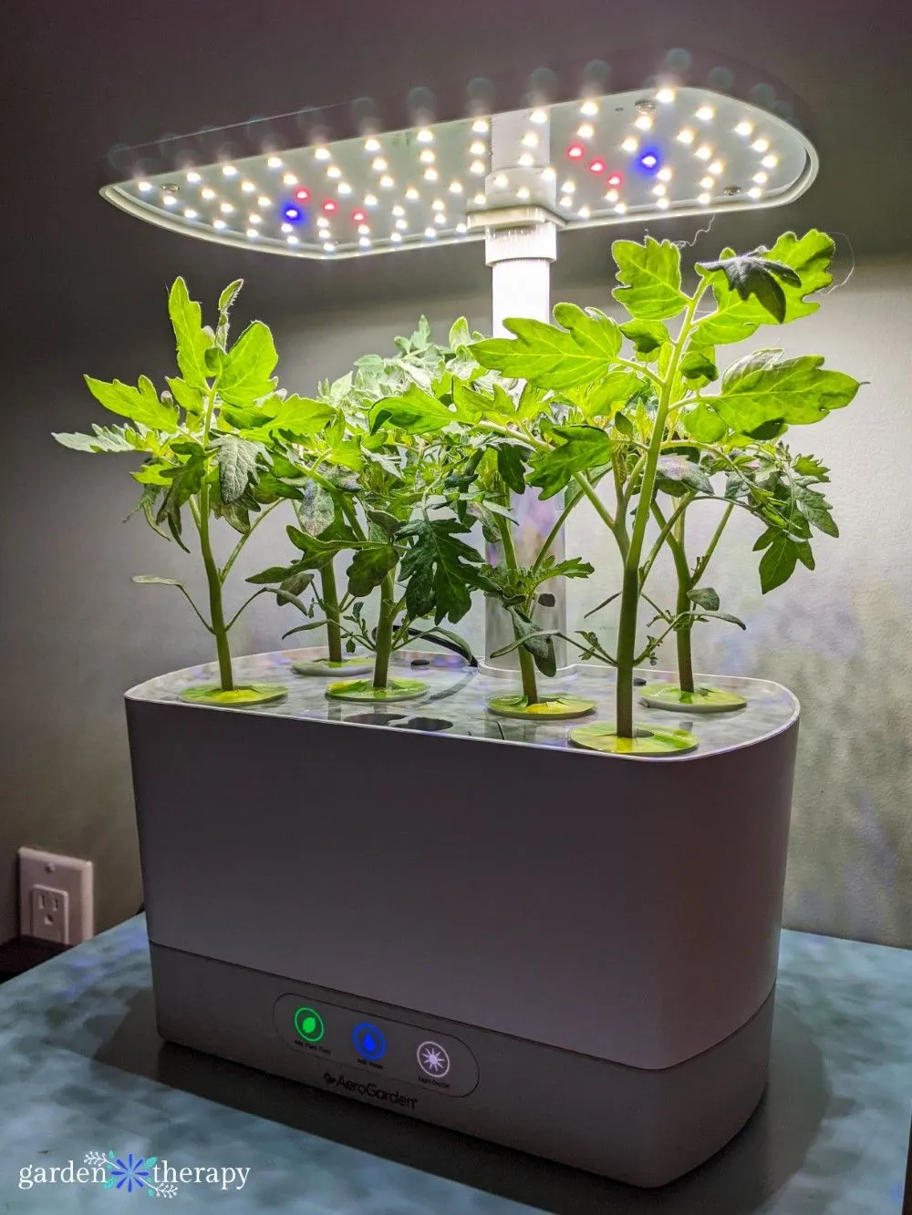 (Gone) Aerogarden Harvest photo 1