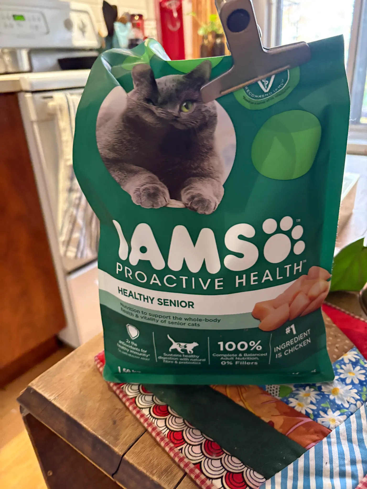 Wet and dry cat food photo 1