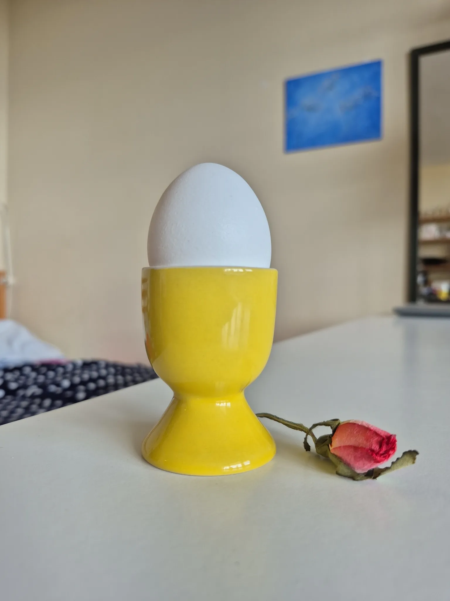 Egg Cup  photo 1