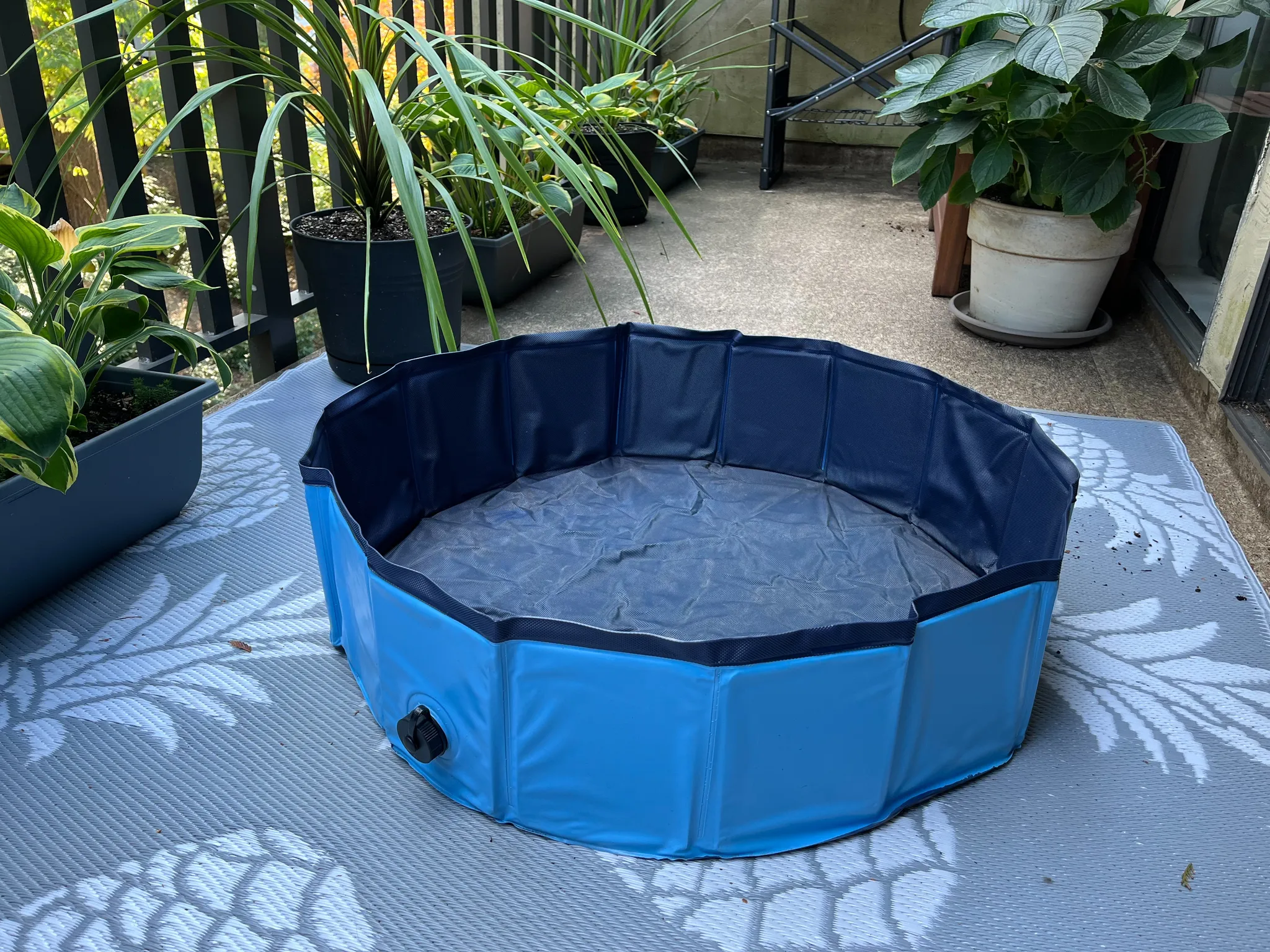 Collapsible puppy pool/bath photo 1