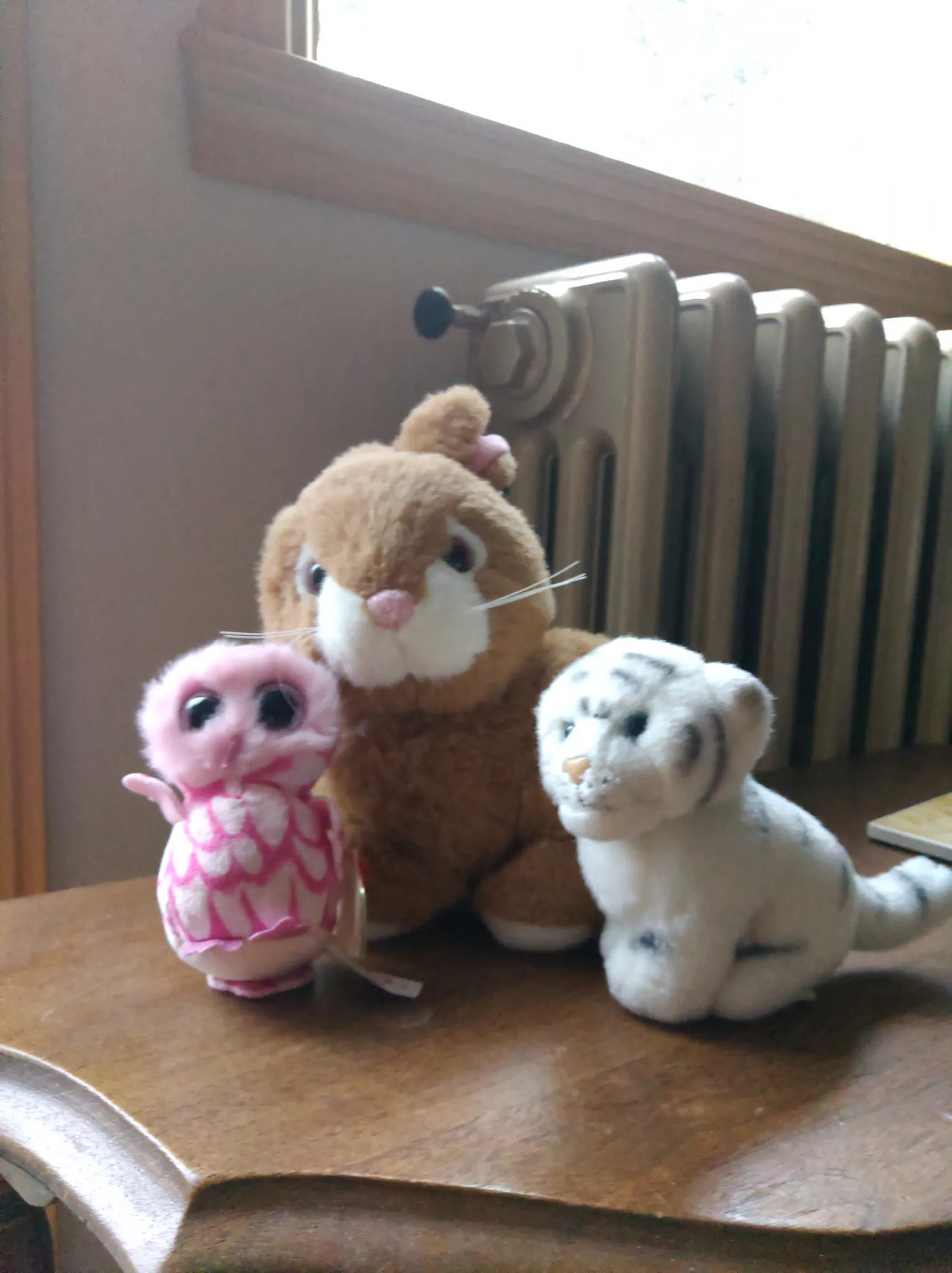 Plushies photo 1
