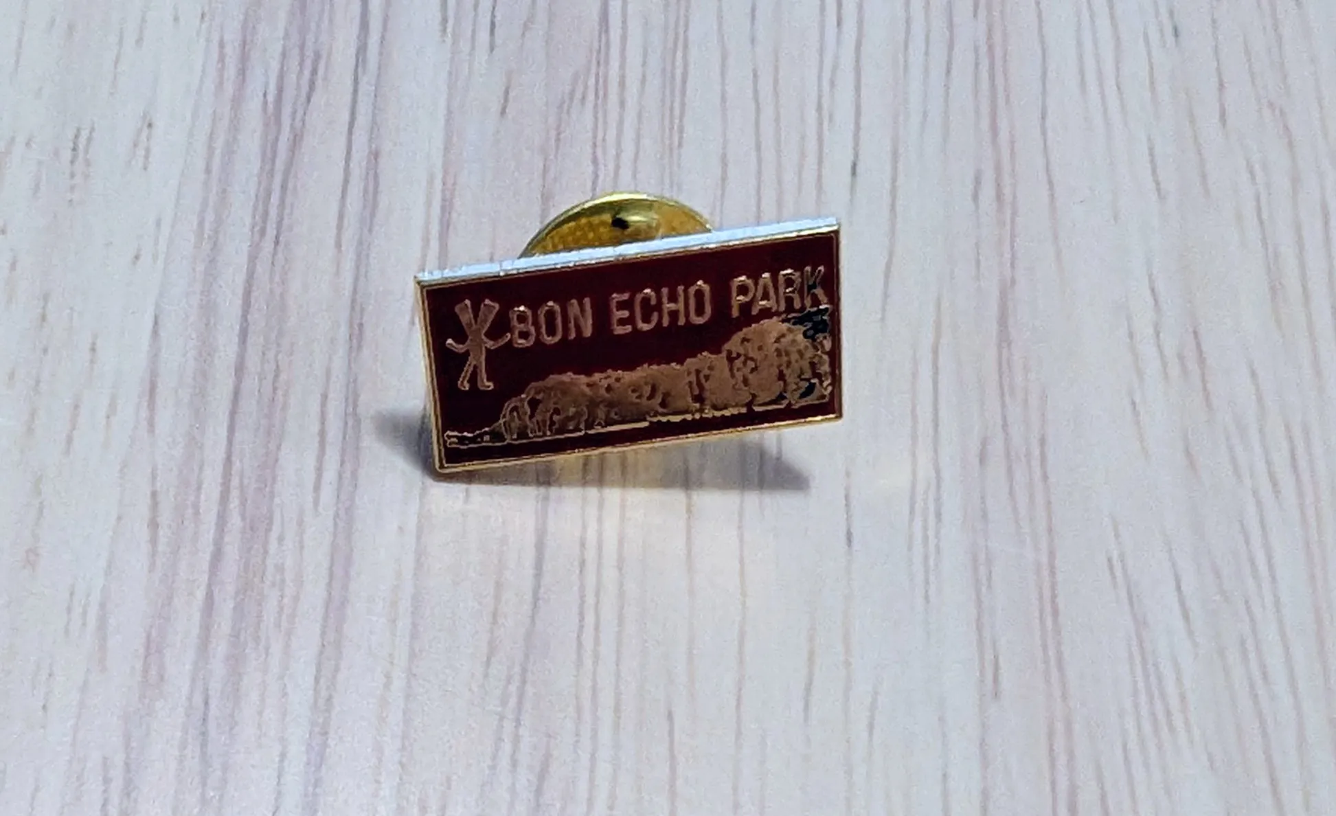Brand New Bon Echo Park Lapel Pin photo 1