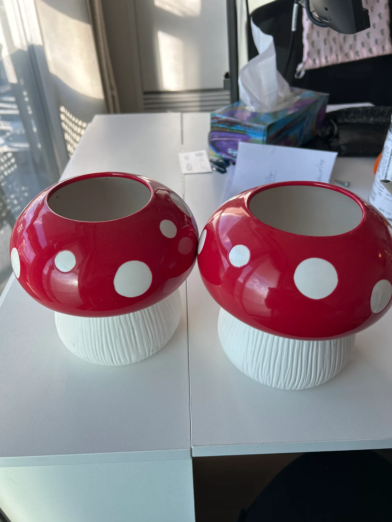 Mushroom decorations/planter photo 1