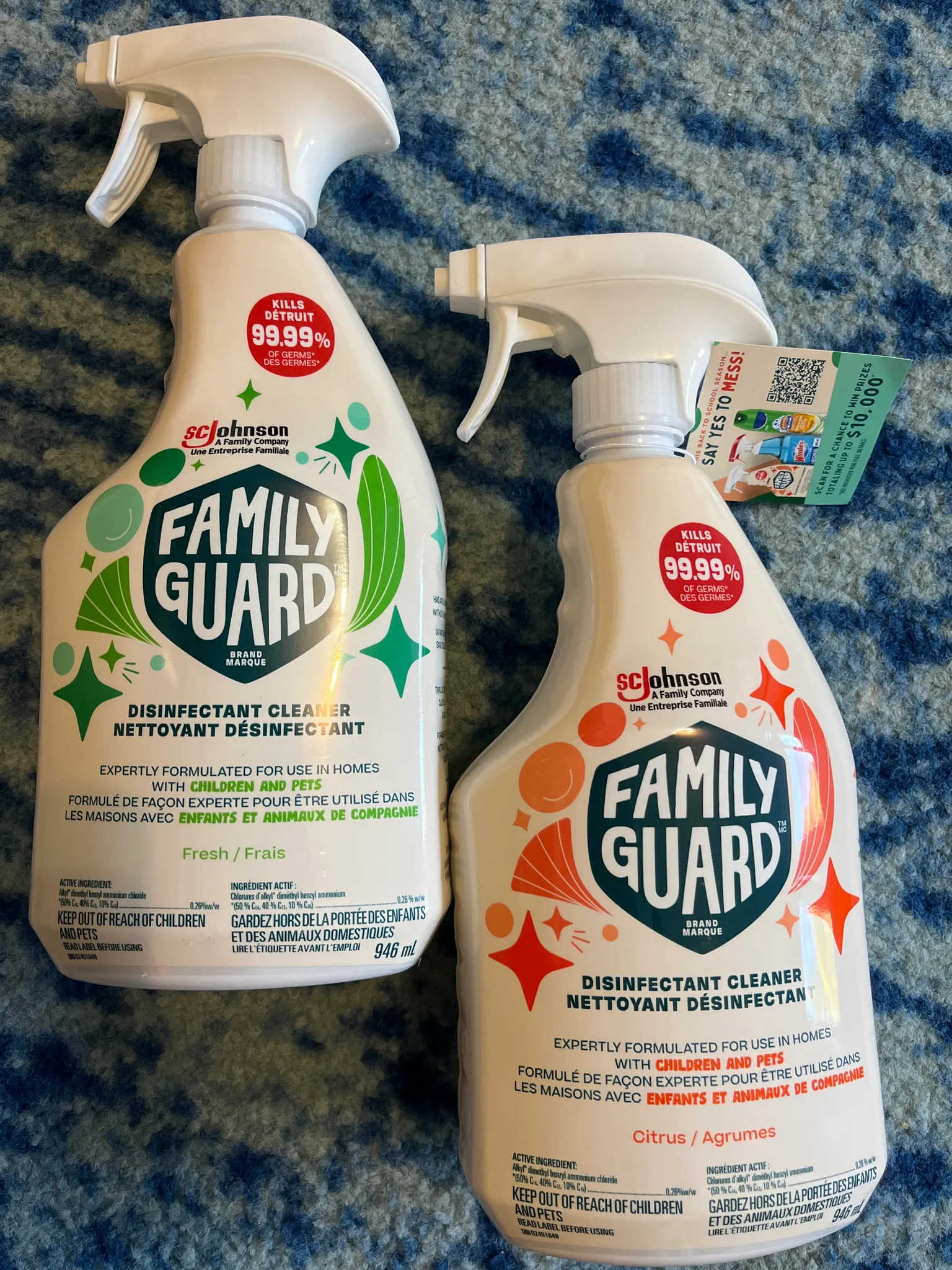 Family Guard Disinfectant Spray photo 1