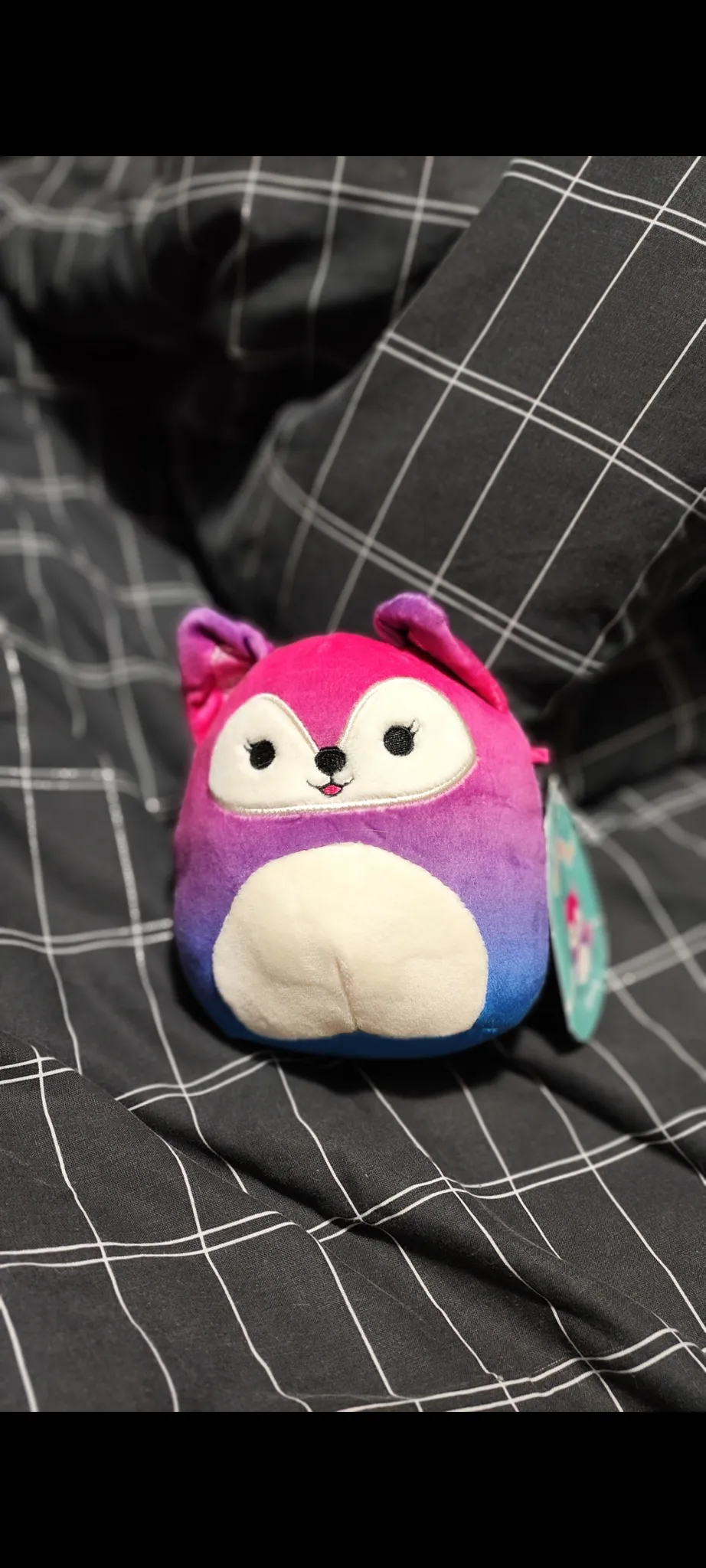 Squishmallows photo 1