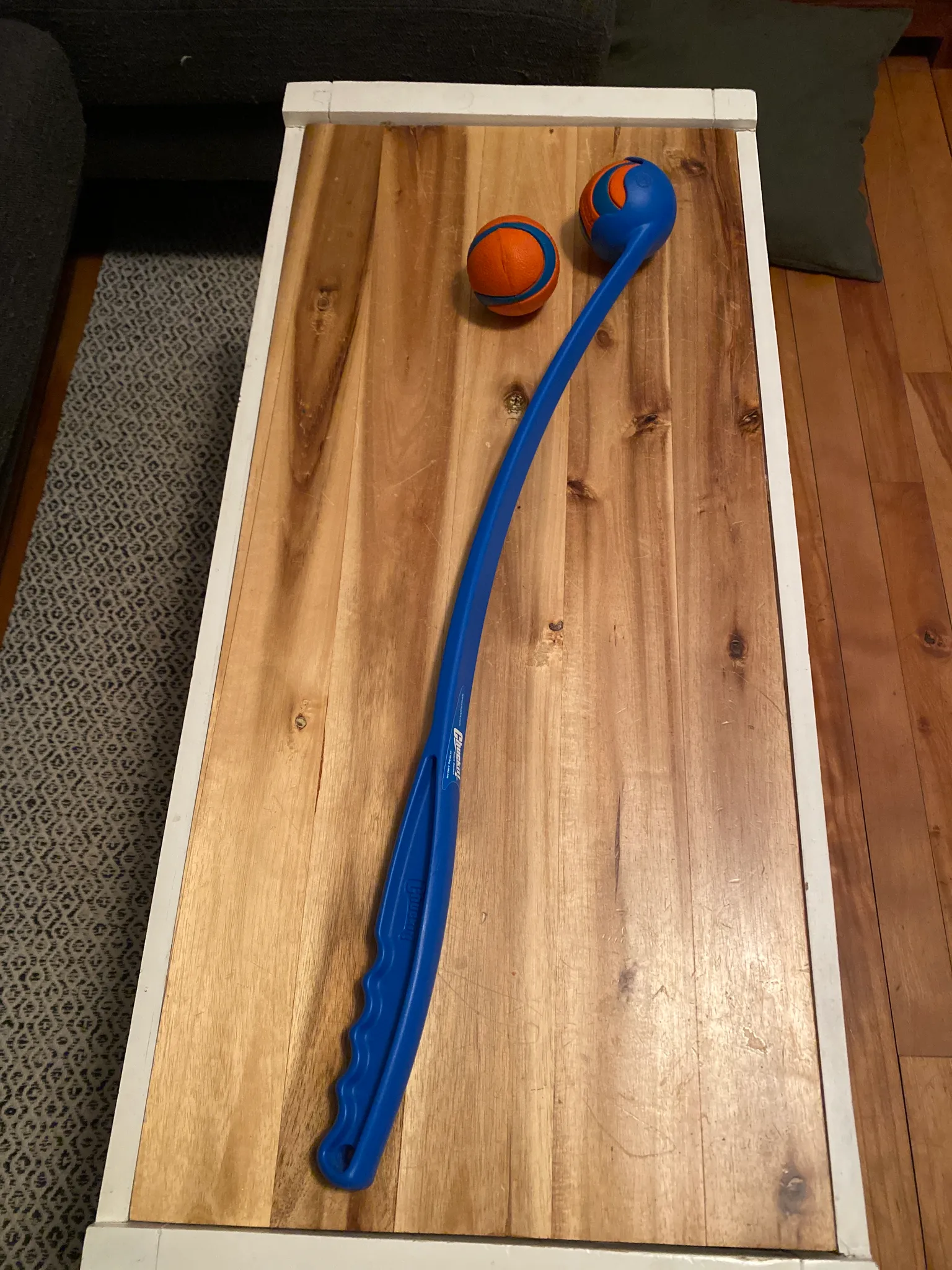 Chuck it + 2 balls - Free photo 1