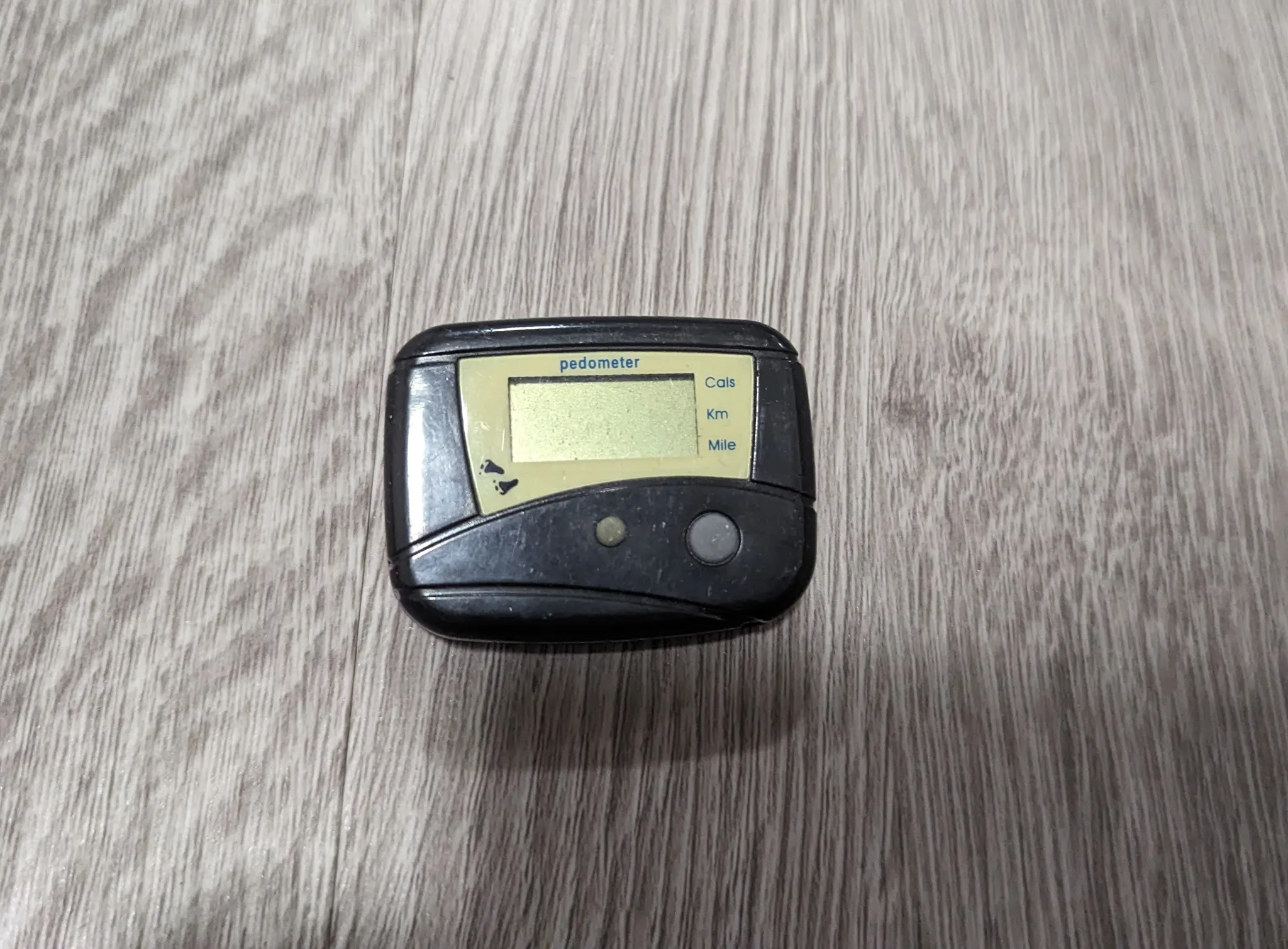 Pedometer  photo 1