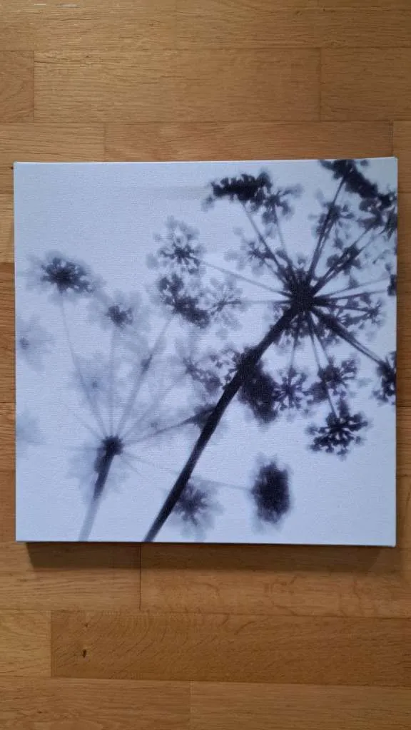 Ikea Frame photo 1
