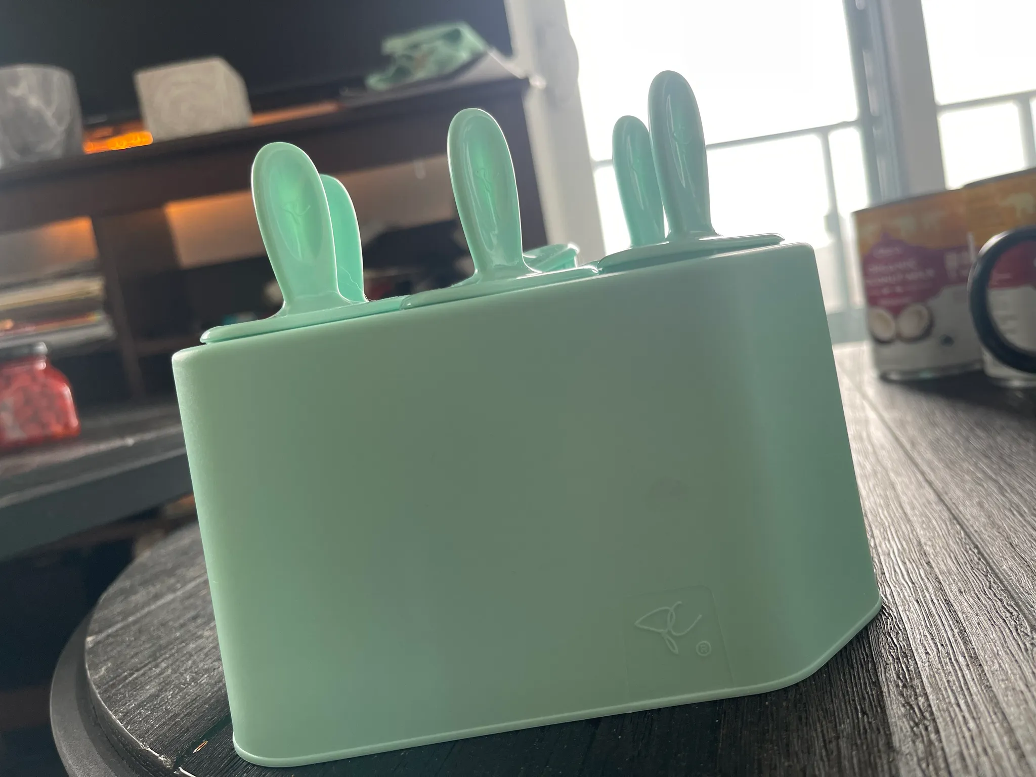 Popsicle Mold - MOVING SALE photo 1