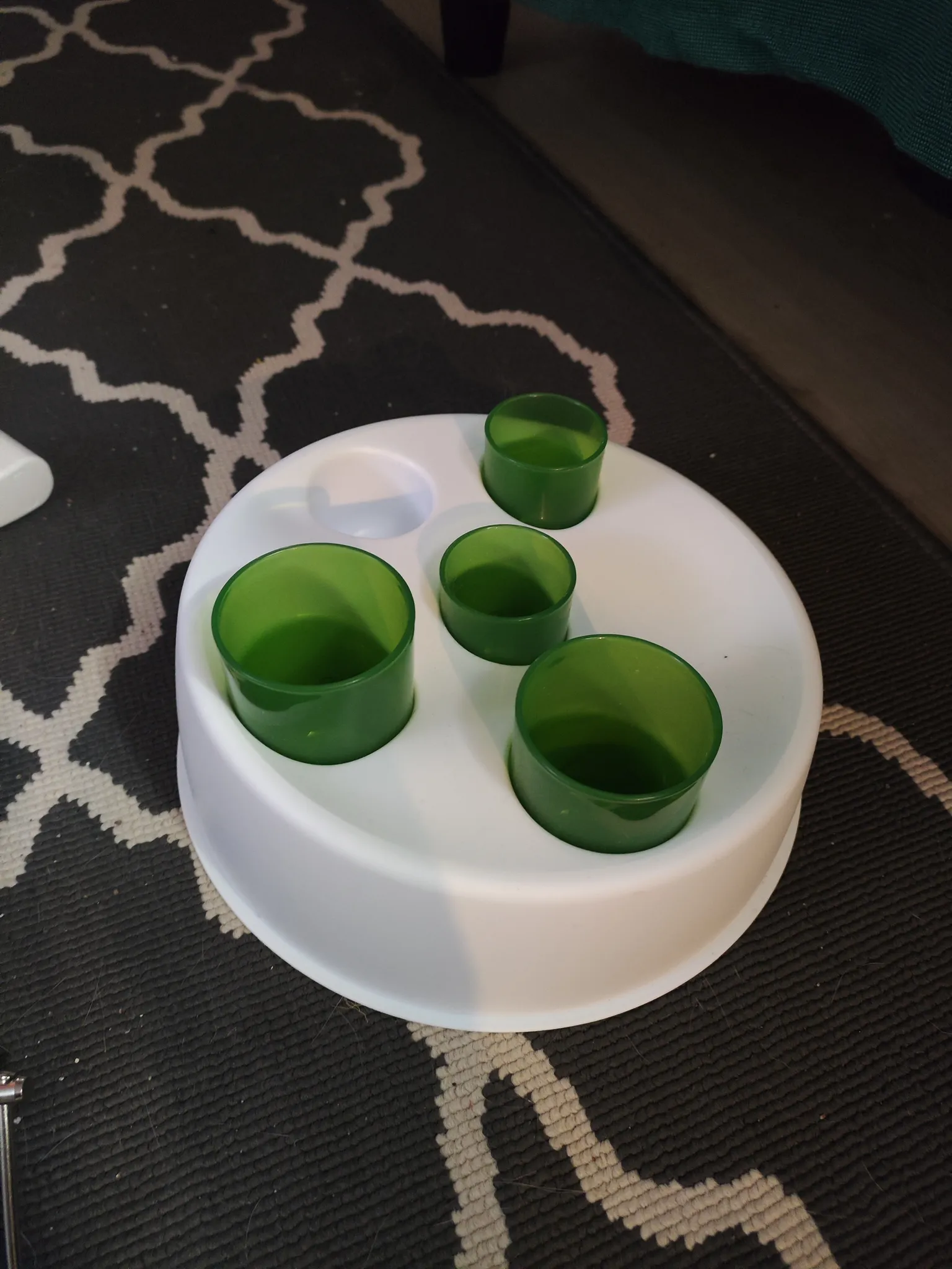 Slow Pet Feeder photo 1