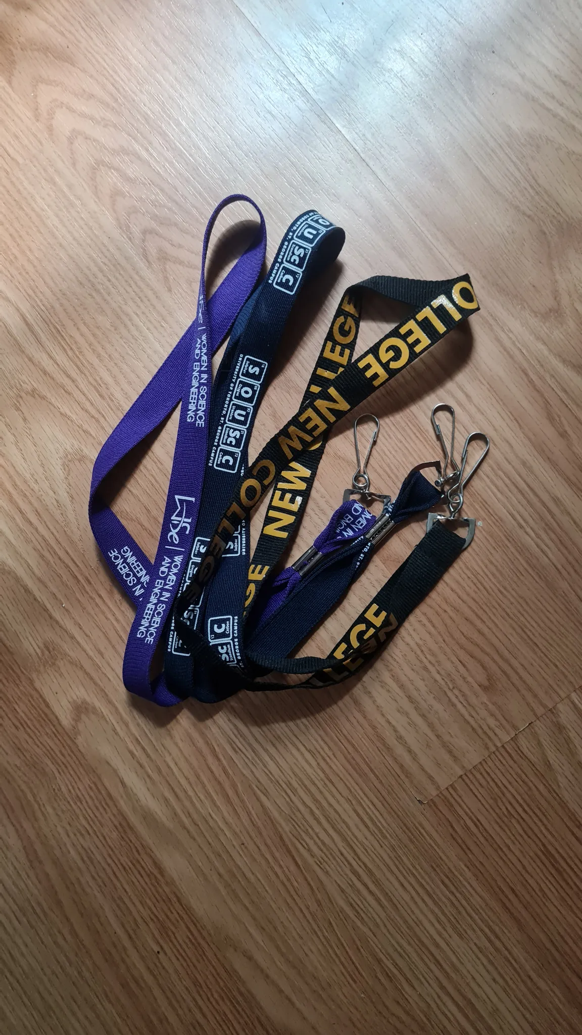 Lanyards and plastic name tag holders photo 1