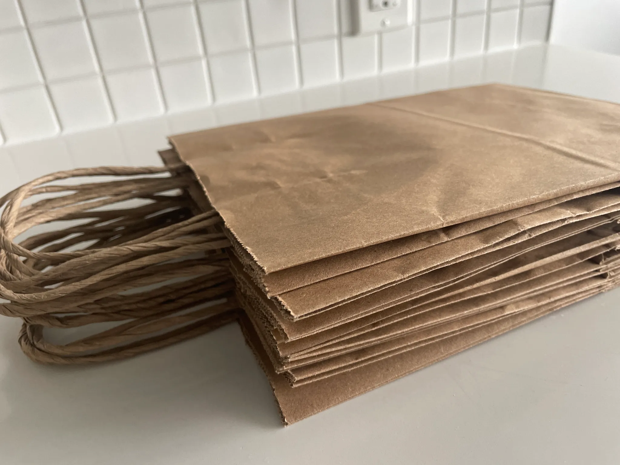 10 Brown Paper Bags  photo 1
