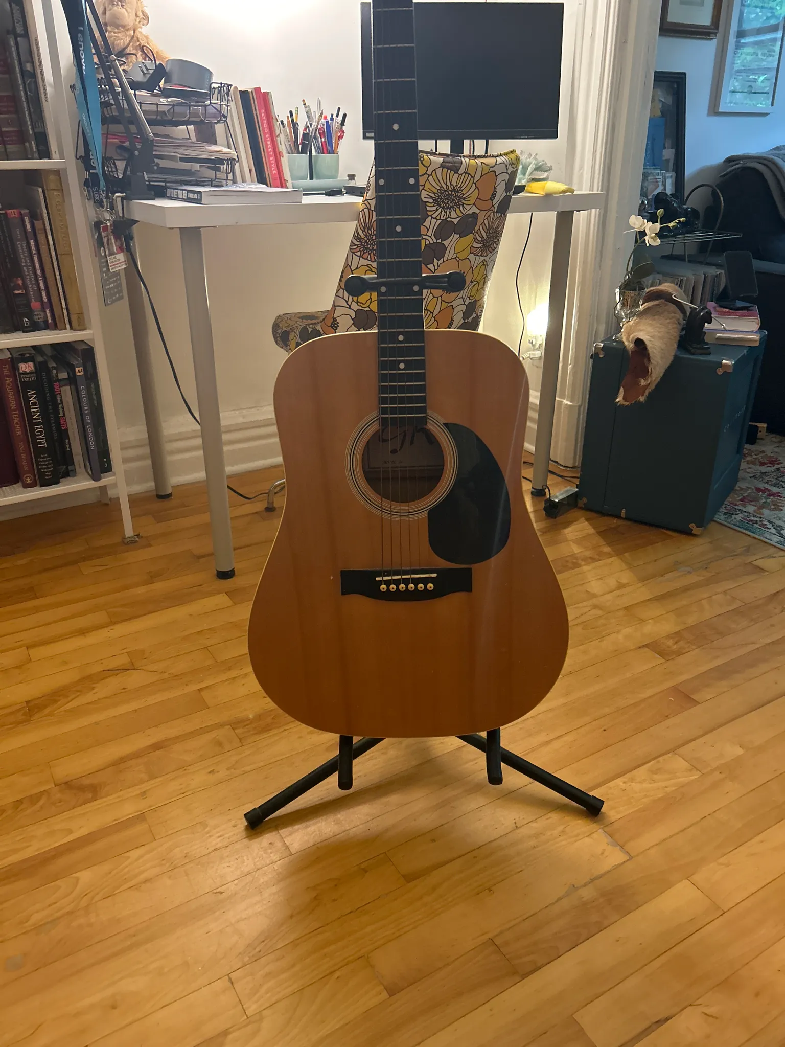 Guitar photo 1
