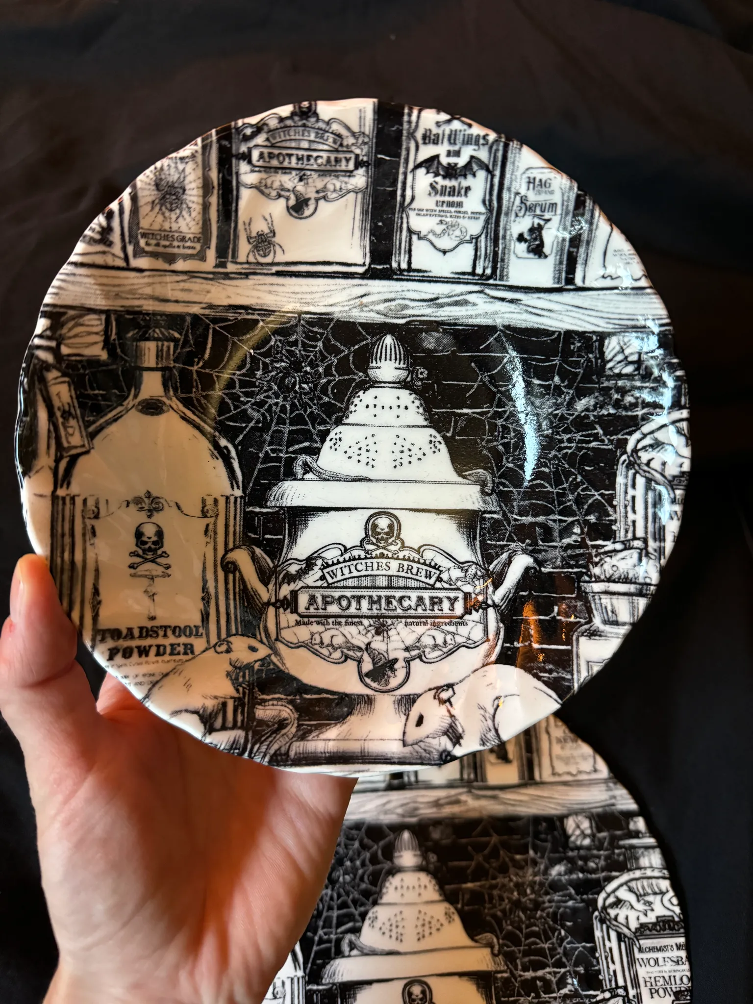 Halloween Dishes photo 1