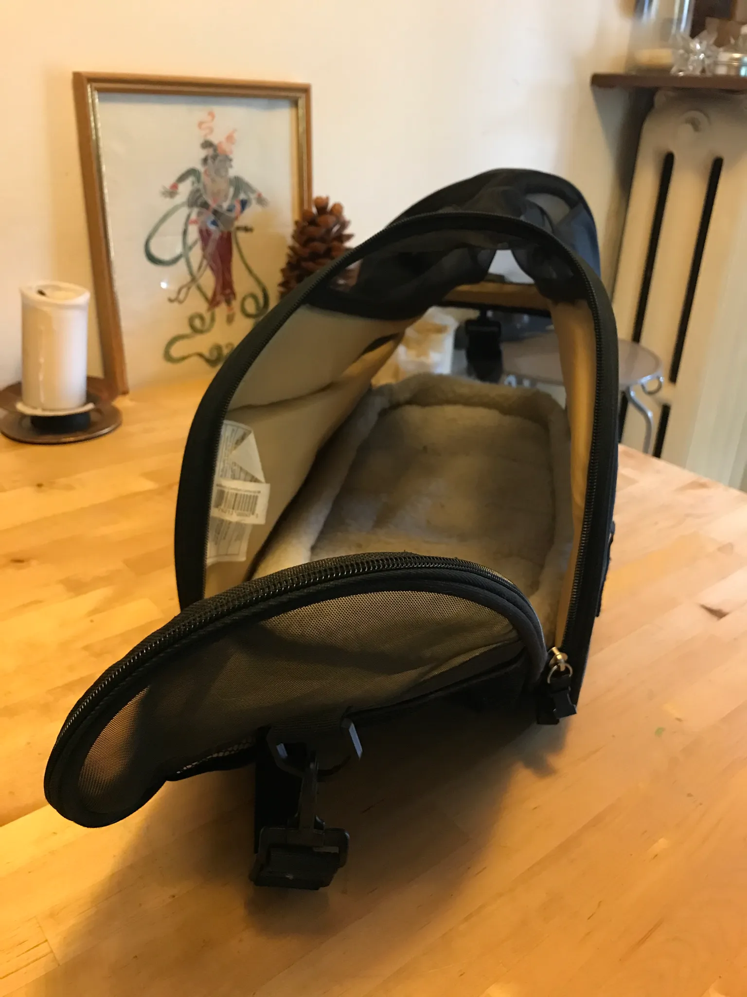 Cat carrier photo 1