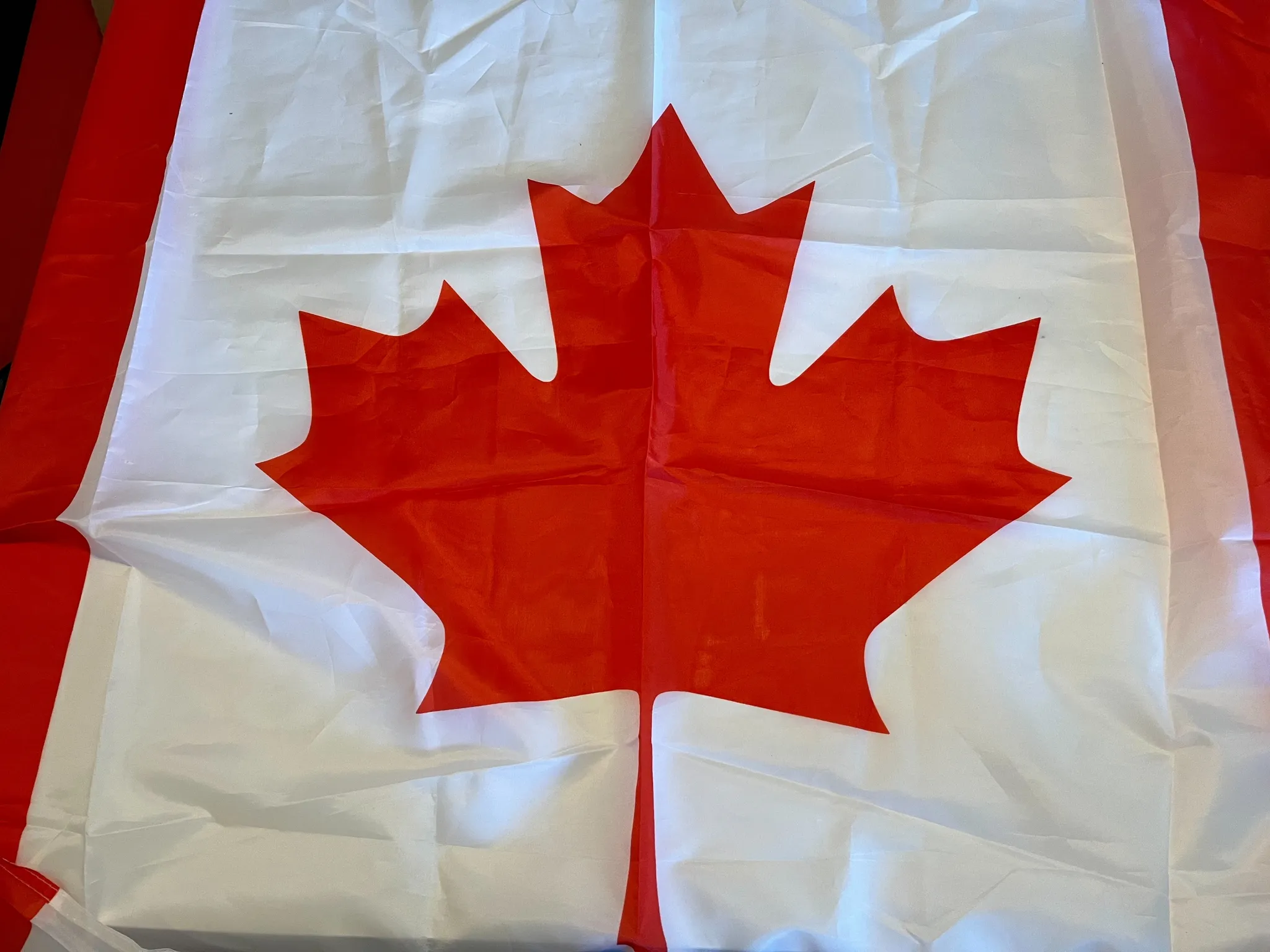 Free! Canadian Flag photo 1