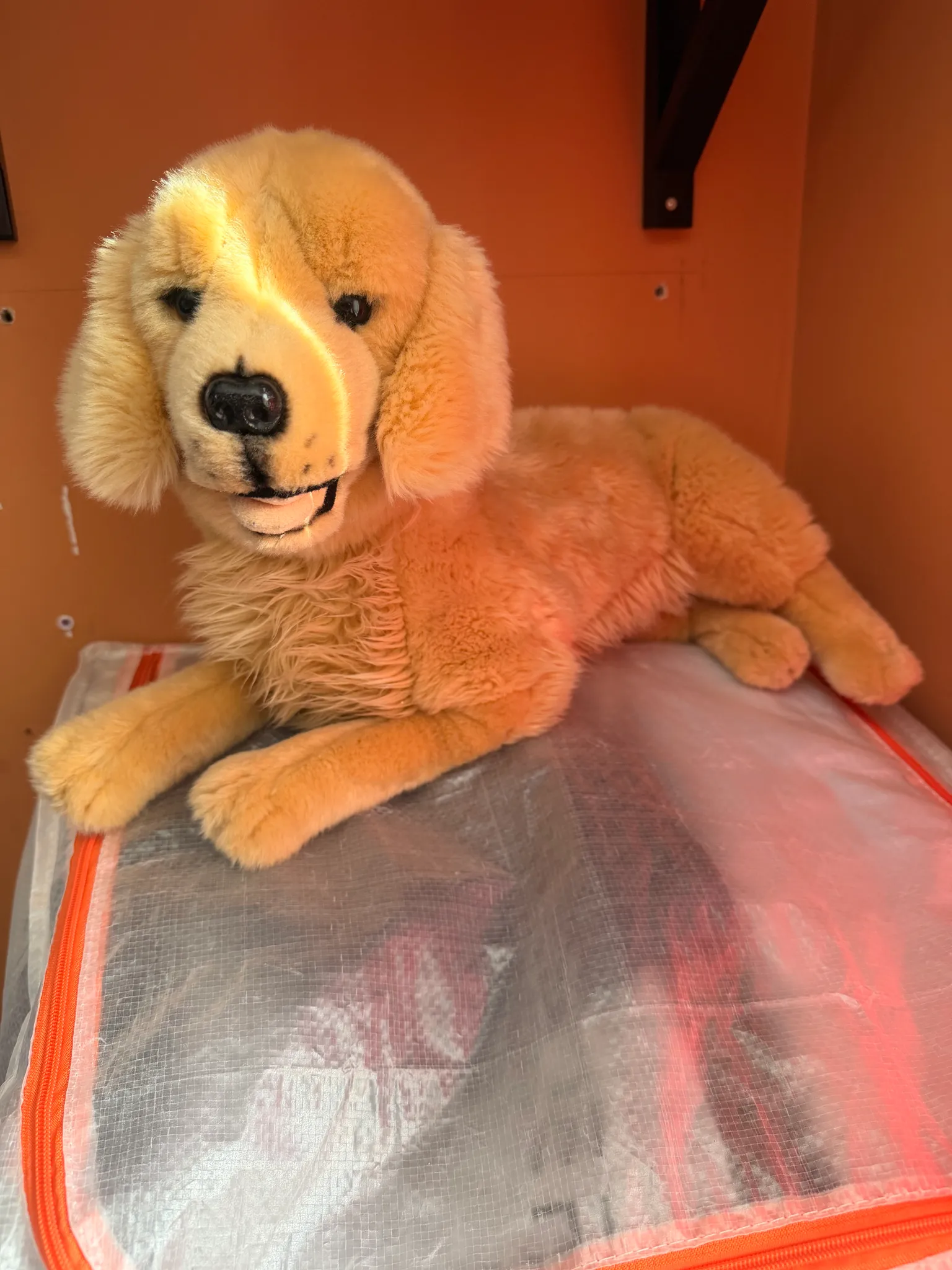 large plush labrador dog bu BOCCHETTA photo 1