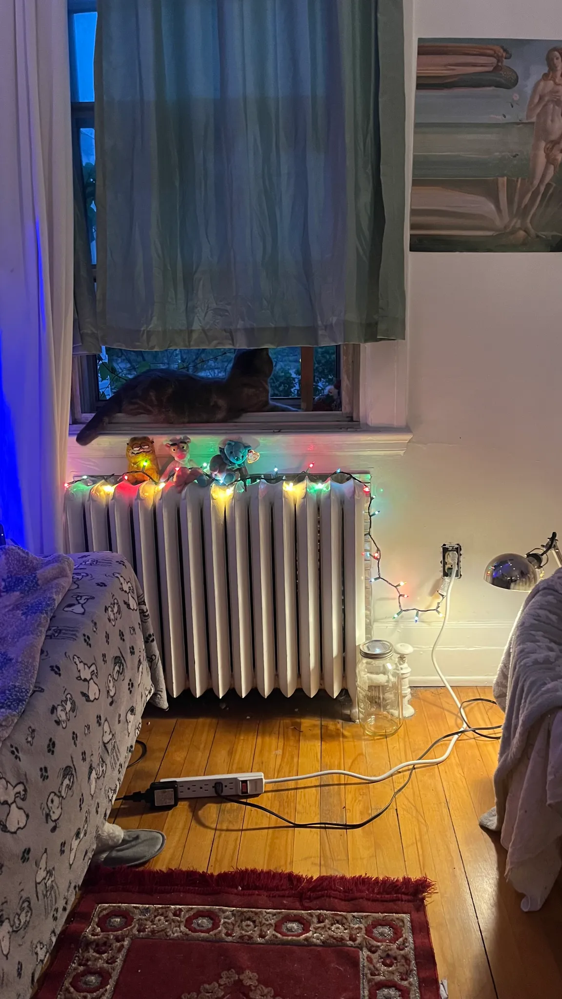 Multicoloured christmas lights!! photo 1