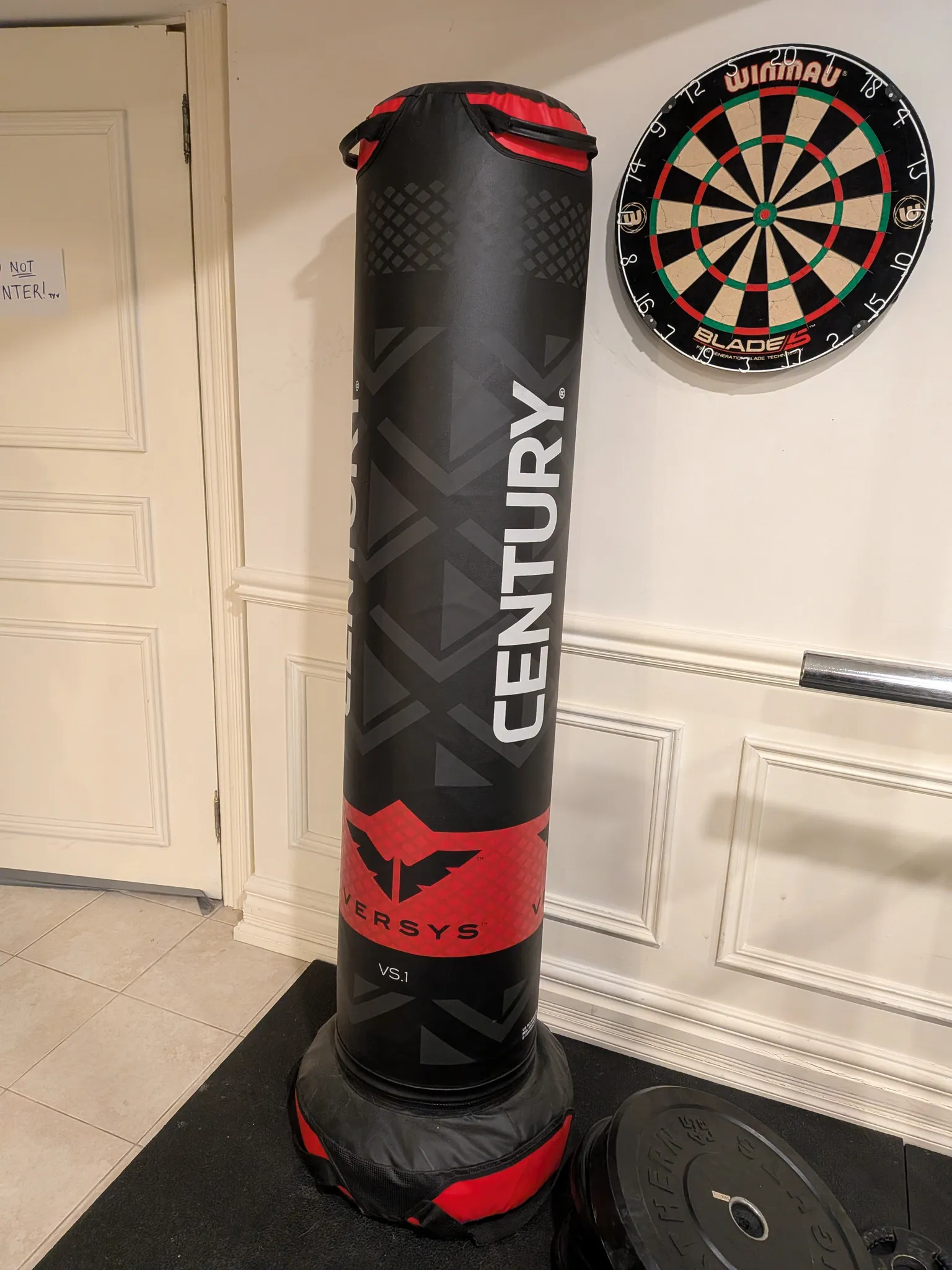 Century Punching/Kickboxing Bag photo 1