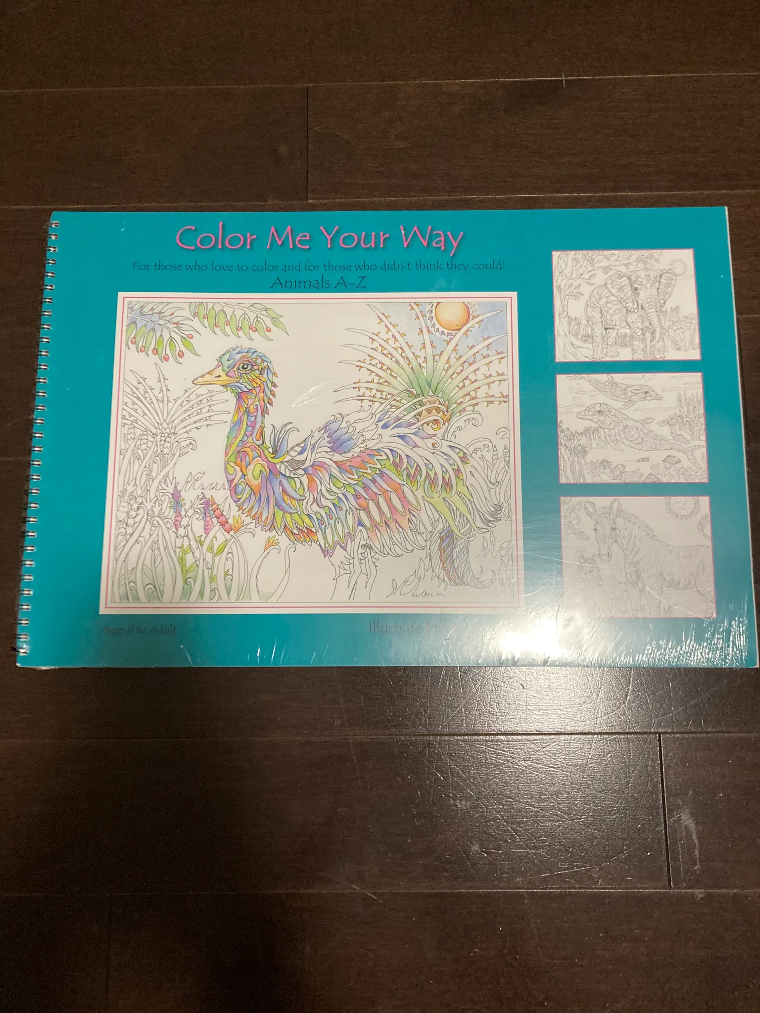 BNIP Adult coloring book  photo 1