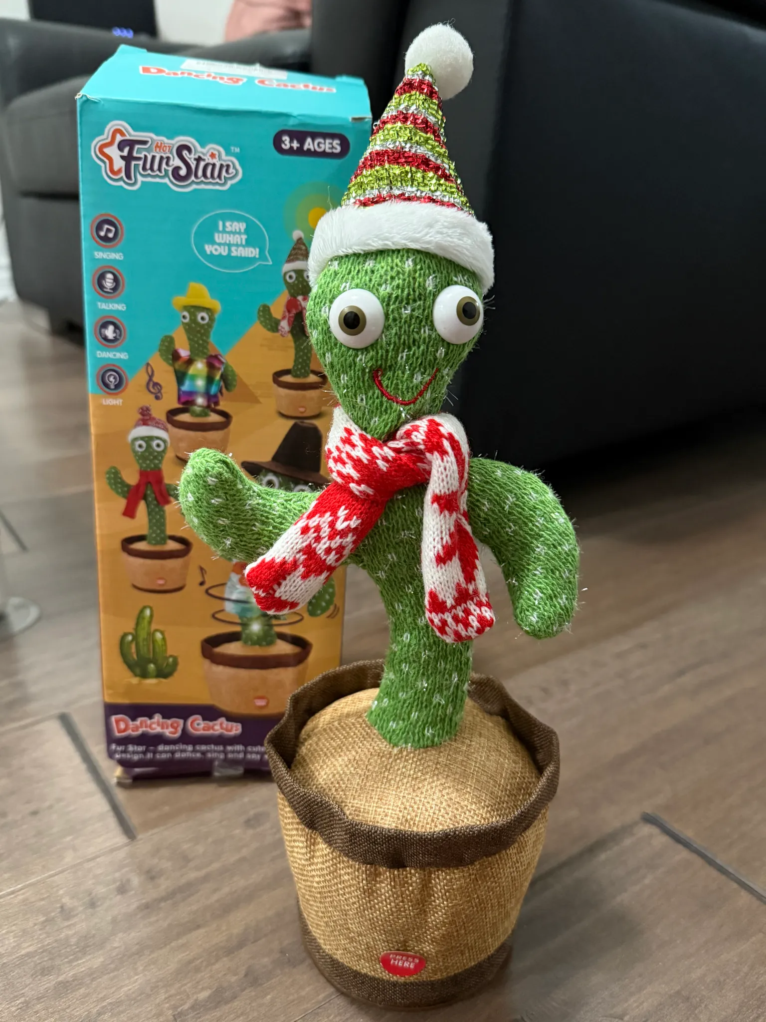 Cactus toy photo 1