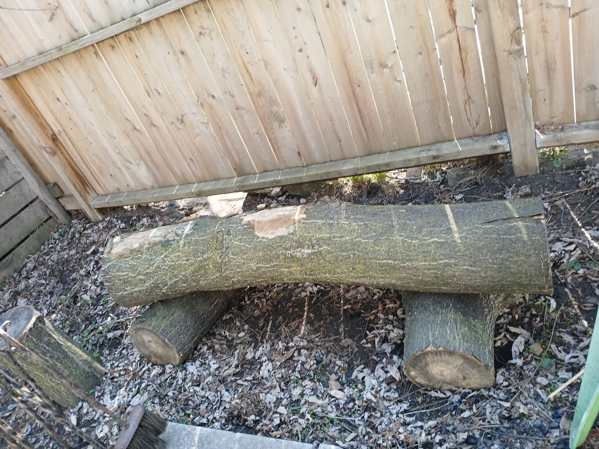 Log bench / tree stump /side table / foot rest /plant stand photo 1