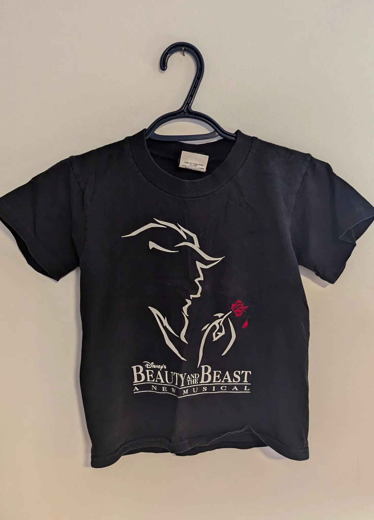 Beauty and the Beast Youth T-Shirt - Youth Size Small photo 1