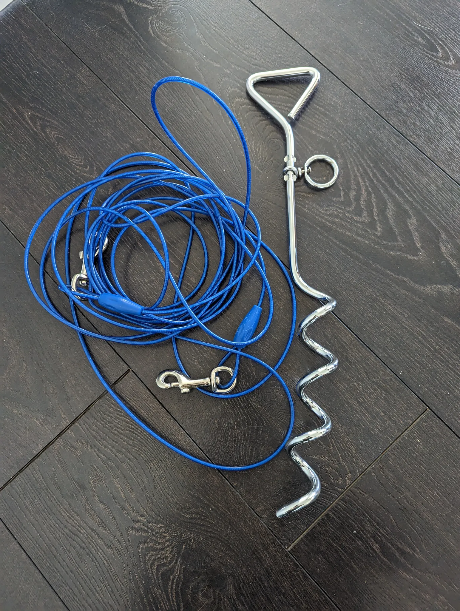 Pending: Doggy anchor with long lead photo 1