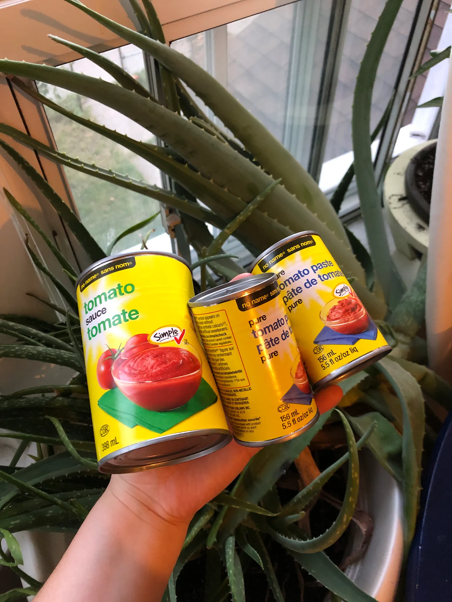 Tomato sauce and paste  photo 1