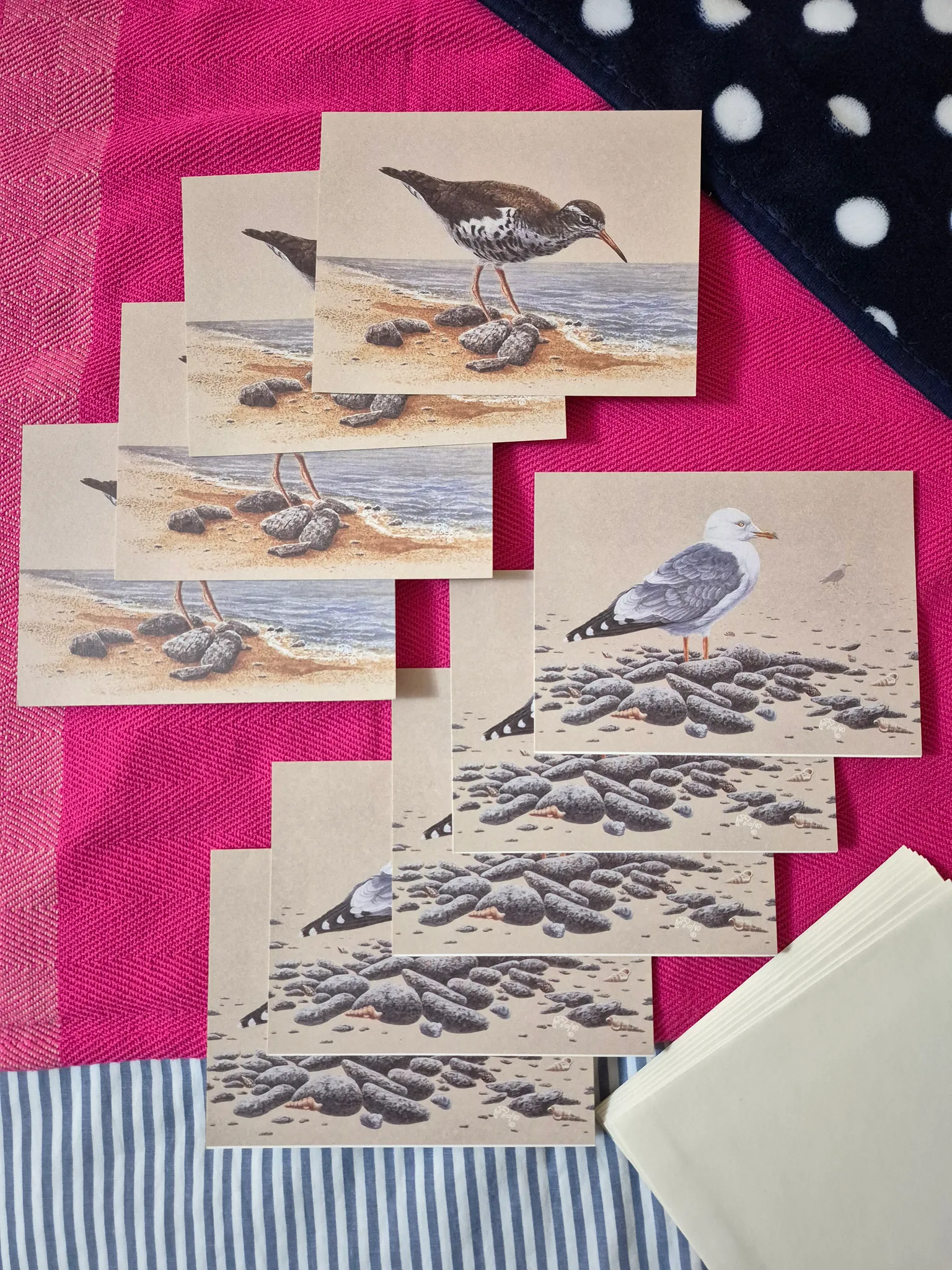 Bird cards photo 1