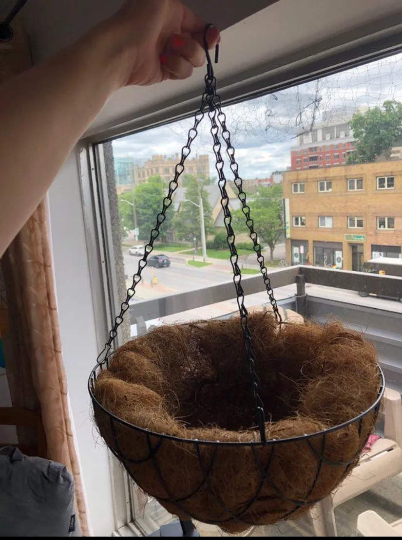 NEW Hanging Basket photo 1