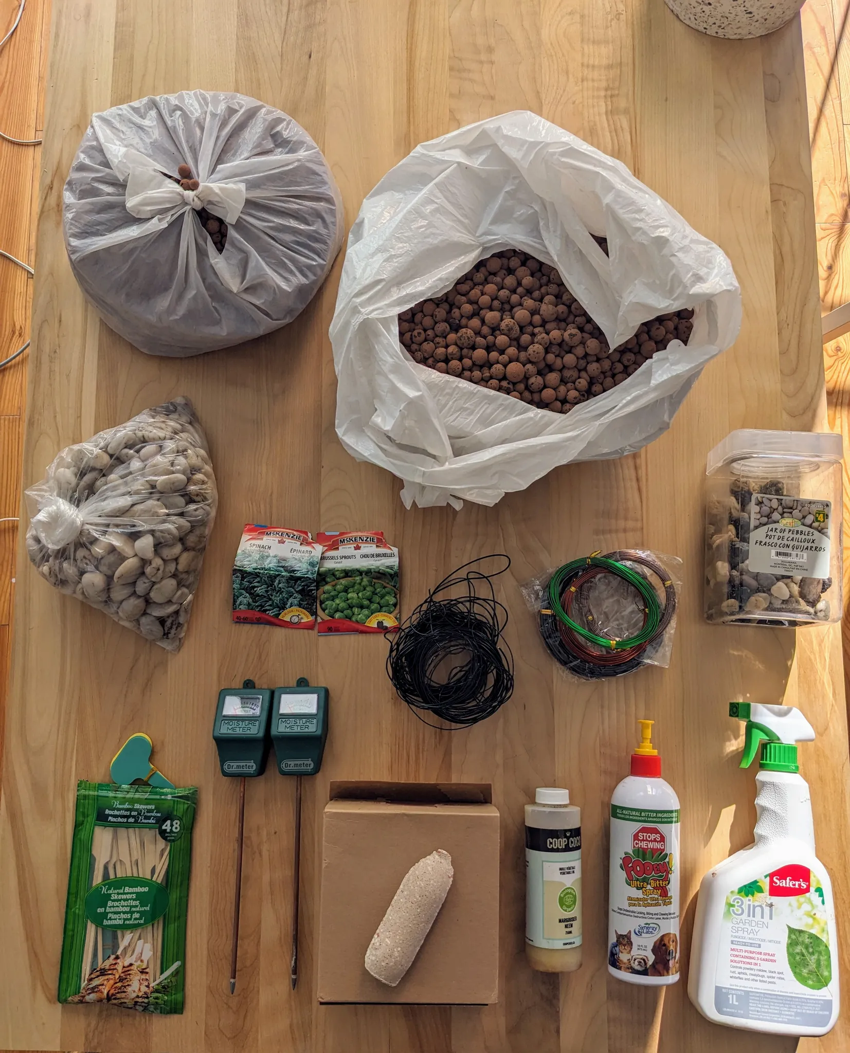 Plant stuff! photo 1