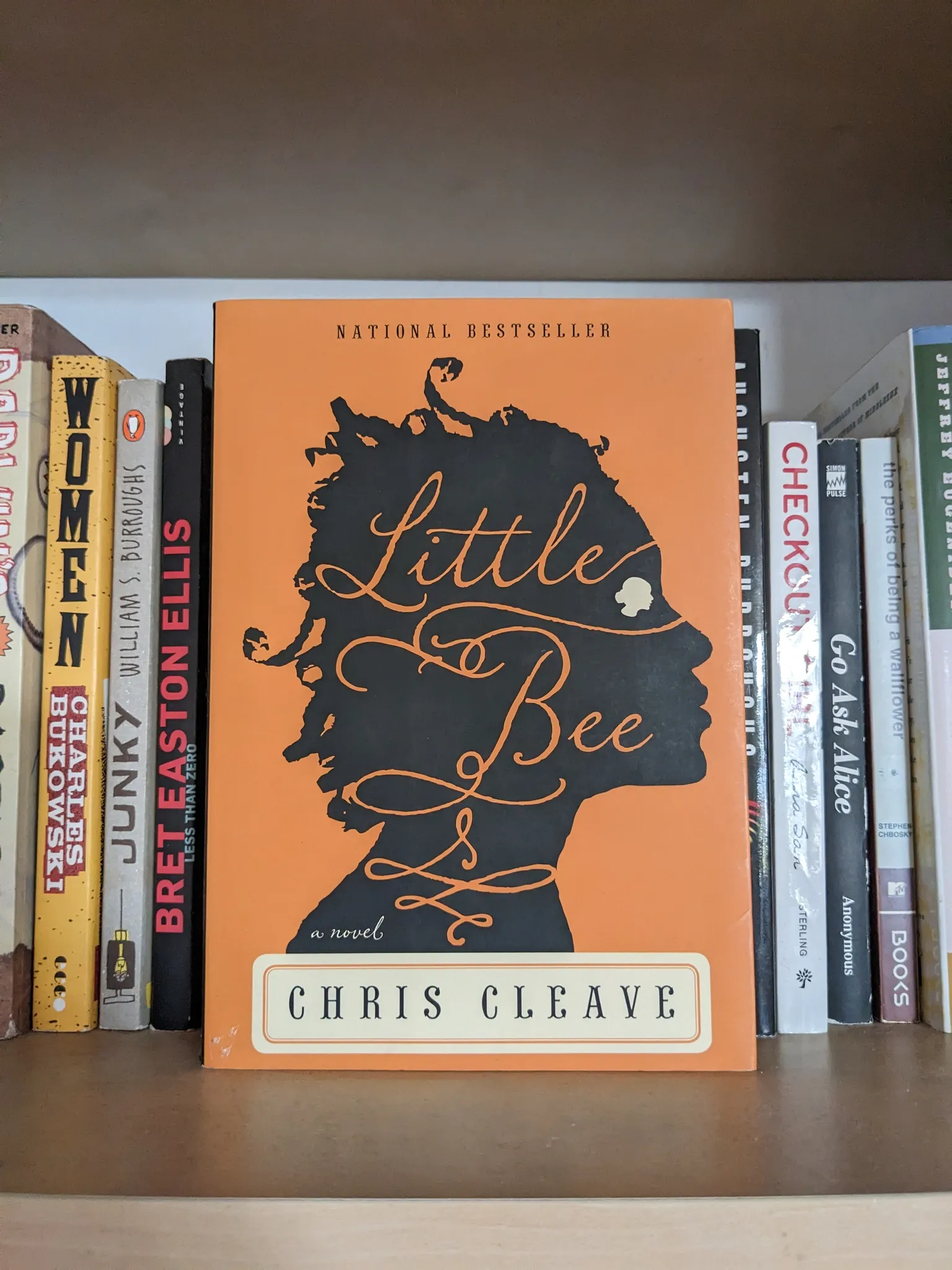 Little Bee by Chris Cleave  photo 1