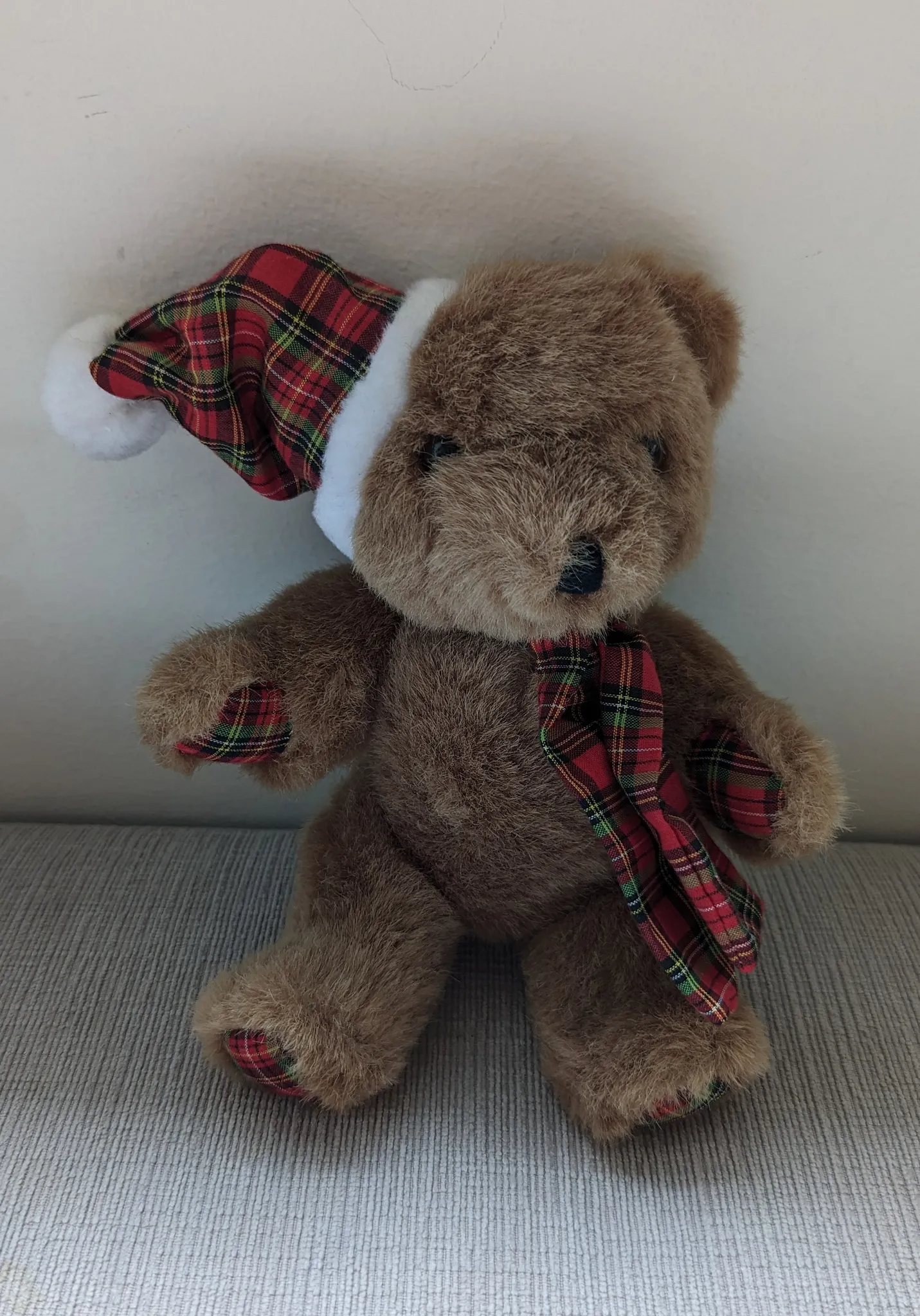 Teddy Bear photo 1