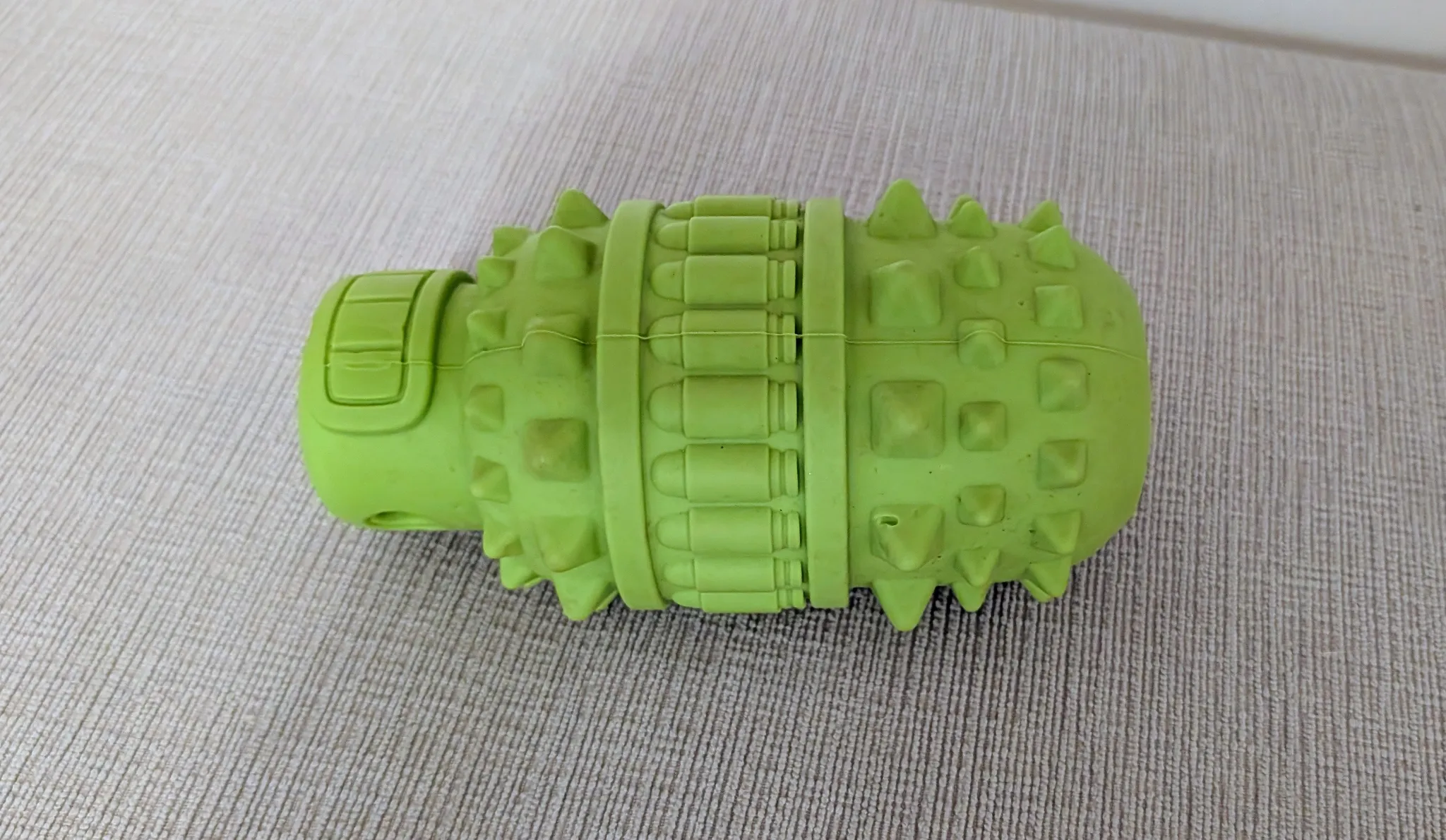 Green Dog Chew Toy photo 1