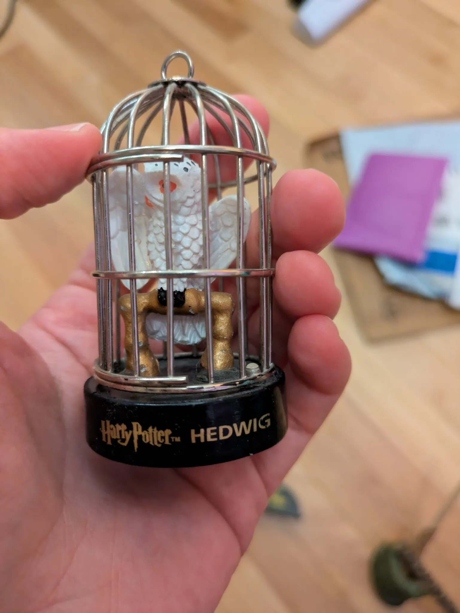 Hedwig  photo 1