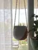 Hanging Planter photo 3