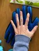 Pet Brush Gloves photo 3