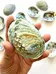 Abalone Shells photo 3