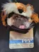 Dog Halloween Outfit photo 1