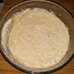 Sourdough Starter photo 1