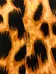 Cute Leopard Print Dress Size medium photo 6