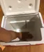 Coleman 9 Quart Cooler photo 2