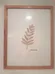 Framed Press Fern photo 1