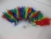 Rainbow feather fan photo 1