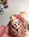 Seashells - assorted photo 3